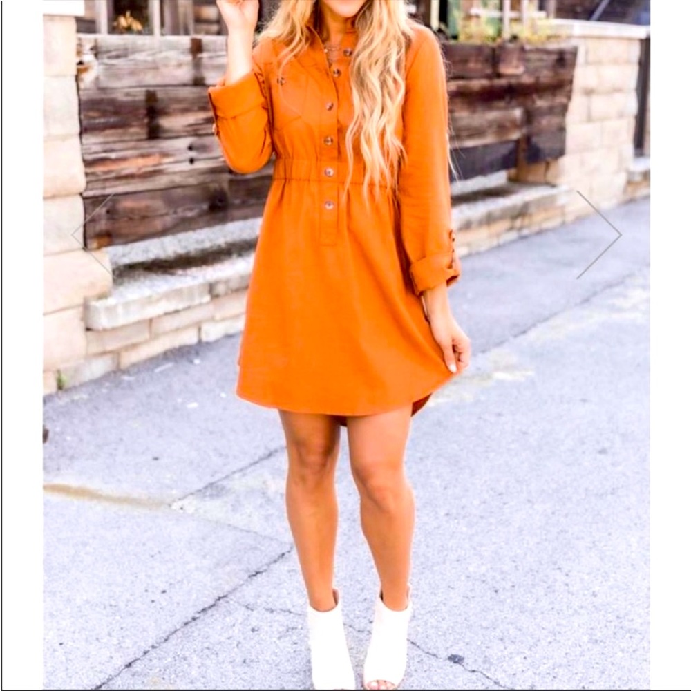 Pink Lily - Feeling like This rust dress